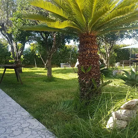 Πανσιόν Afrodite Tropea